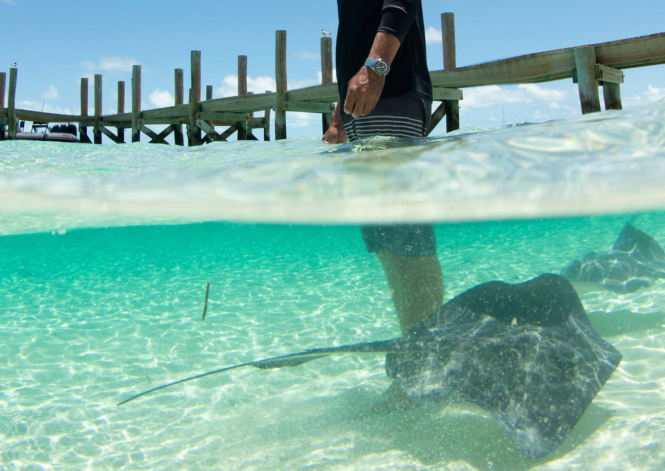 Bimini Shark Lab Bremont Partner Bremont Watch Company