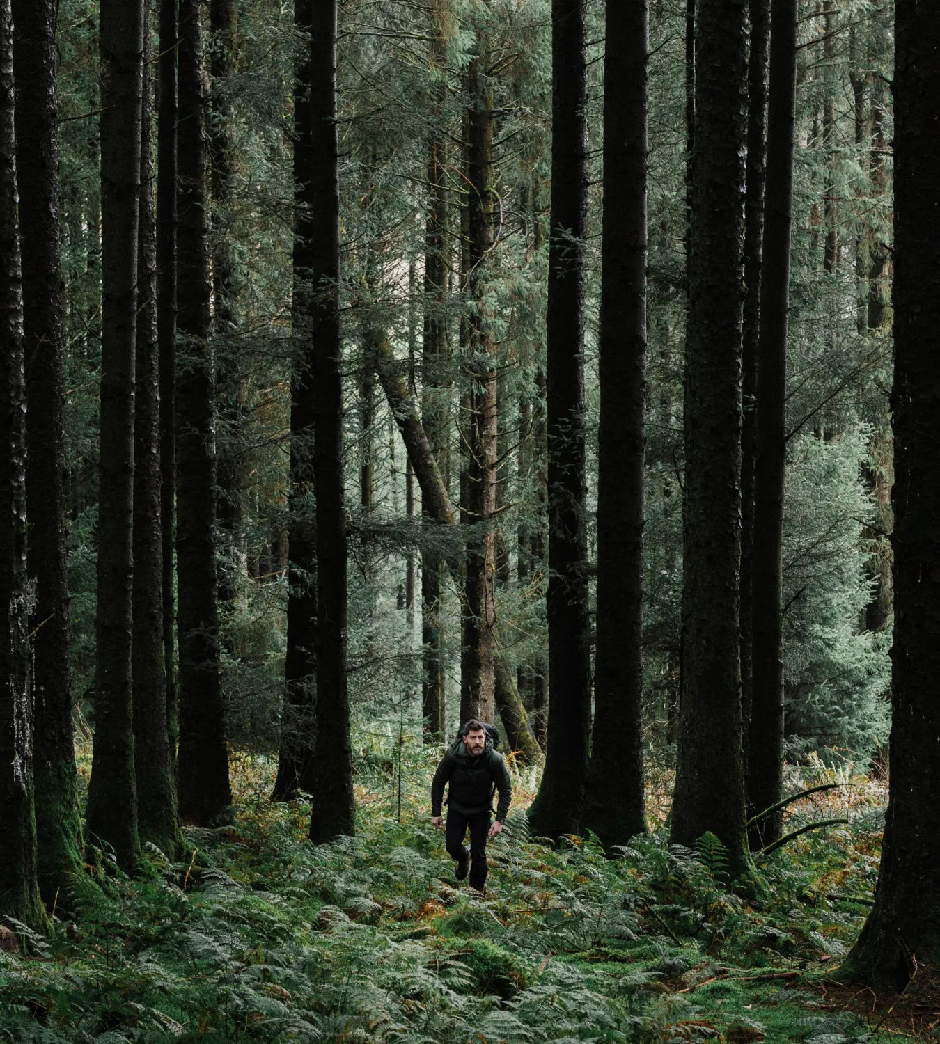 Bremont Watch Company